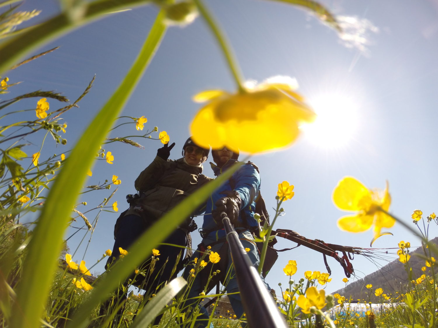 Swissgliders - Tandem Paragliding landing flowers – Spiez Landeplatz